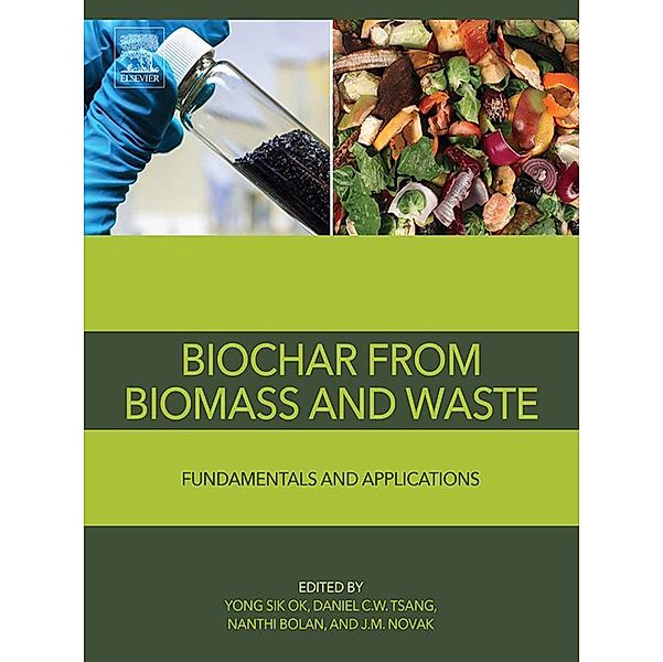 Biochar from Biomass and Waste