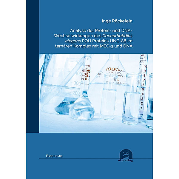 Biochemie / Analyse der Protein- und DNA- Wechselwirkungen des Caenorhabditis elegans POU Proteins UNC-86 im ternären Komplex mit MEC-3 und DNA, Inge Röckelein