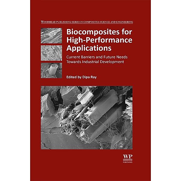 Biocomposites for High-Performance Applications