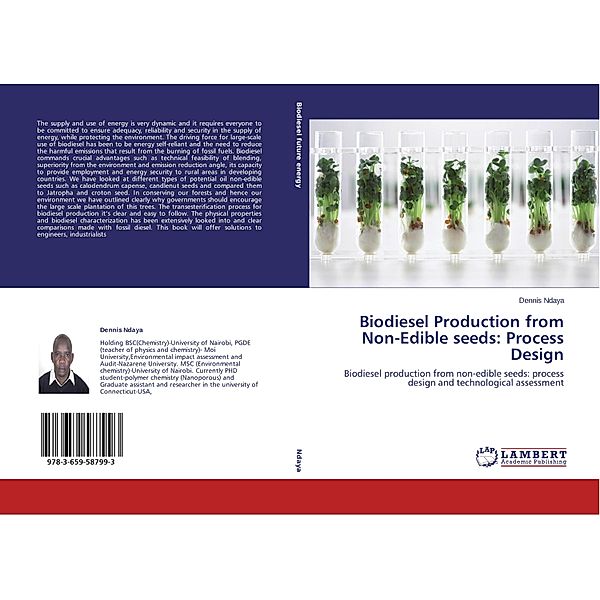 Biodiesel Production from Non-Edible seeds: Process Design, Dennis Ndaya