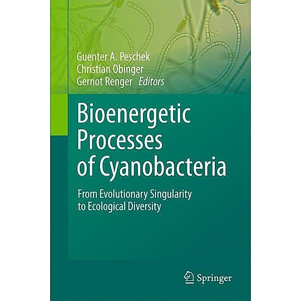 Bioenergetic Processes of Cyanobacteria