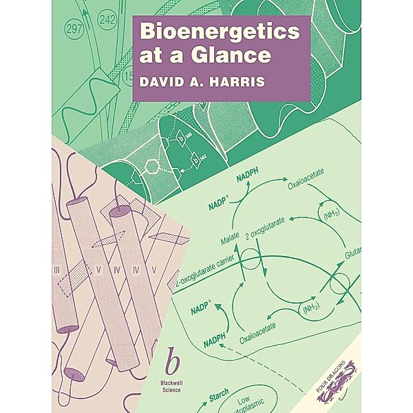 Bioenergetics At a Glance, D. A. Harris