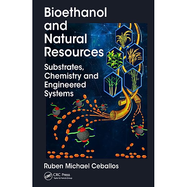 Bioethanol and Natural Resources, Ruben Michael Ceballos