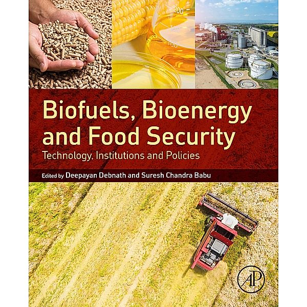 Biofuels, Bioenergy and Food Security, Suresh Chandra Babu, Deepayan Debnath