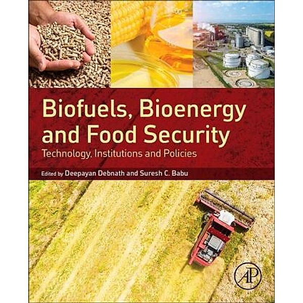 Biofuels, Bioenergy and Food Security