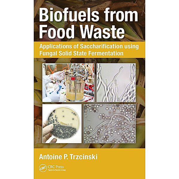 Biofuels from Food Waste, Antoine Prandota Trzcinski