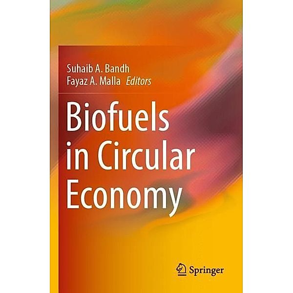 Biofuels in Circular Economy