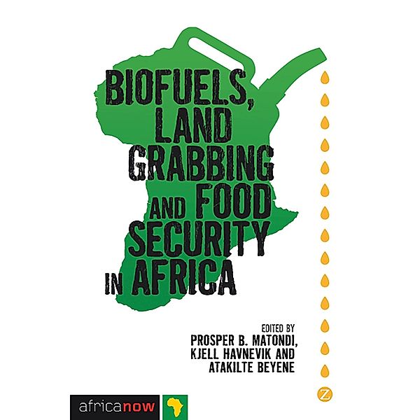 Biofuels, Land Grabbing and Food Security in Africa