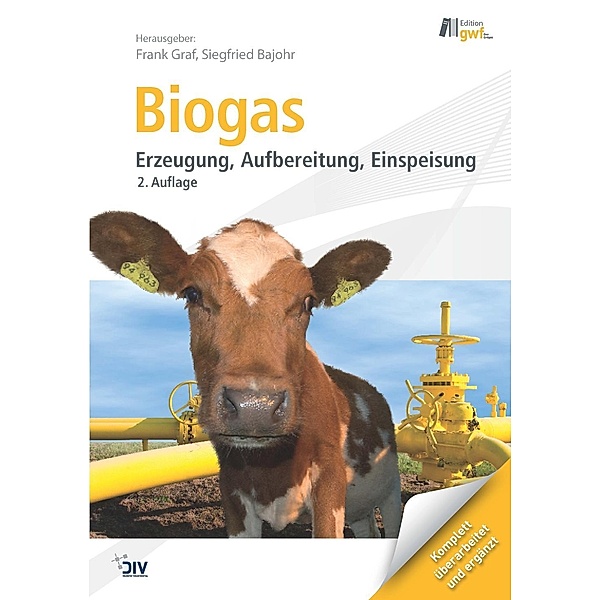 Biogas, m. DVD-ROM (eBook)