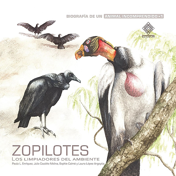 Biografía de un animal incomprendido - 1 - Zopilotes, los limpiadores del ambiente, Sophie Calmé, Laura López Argoytia, Julio Coutiño Molina