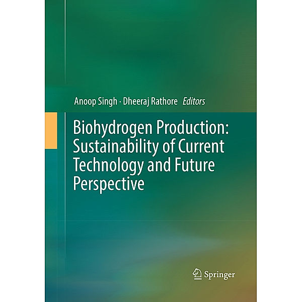 Biohydrogen Production: Sustainability of Current Technology and Future Perspective