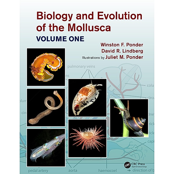 Biology and Evolution of the Mollusca, Volume 1, Winston Frank Ponder, David R. Lindberg, Juliet Mary Ponder