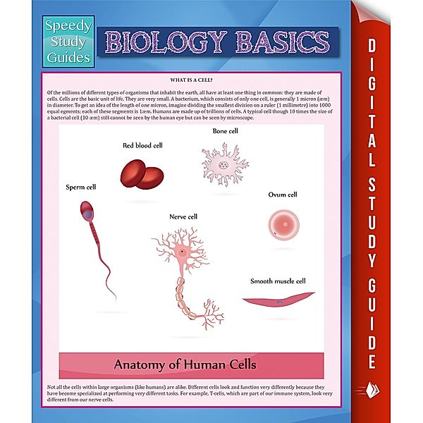 Biology Basics (Speedy Study Guide) / Student Companion Edition, Speedy Publishing