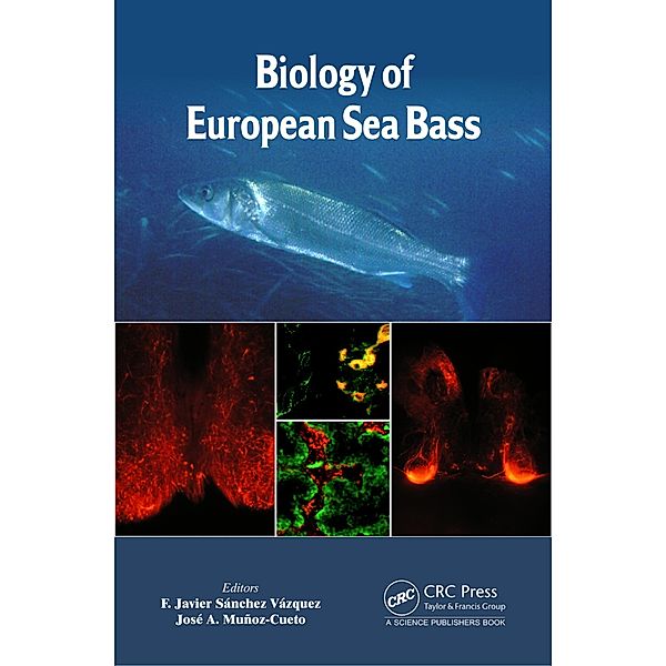 Biology of European Sea Bass