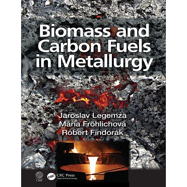 Biomass and Carbon Fuels in Metallurgy, Jaroslav Legemza, Mária Fröhlichová, Róbert Findorák