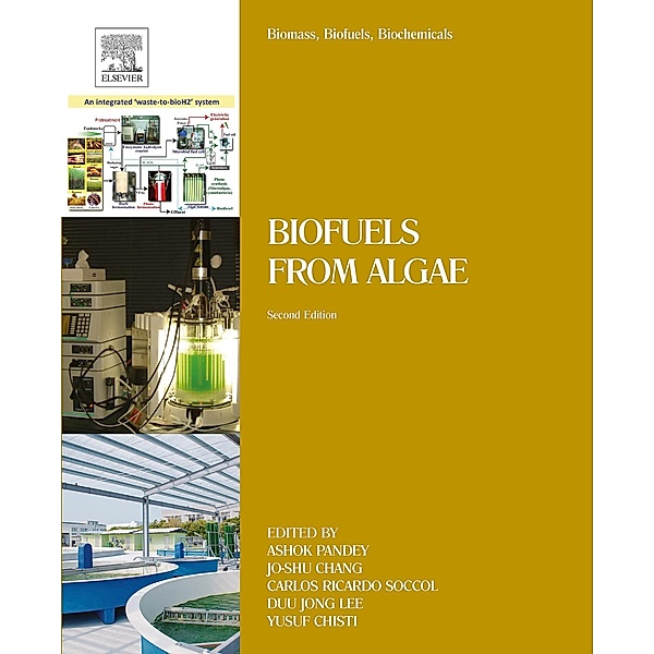 Biomass, Biofuels, Biochemicals