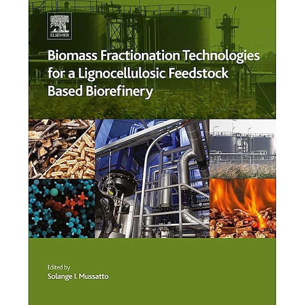 Biomass Fractionation Technologies for a Lignocellulosic Feedstock Based Biorefinery