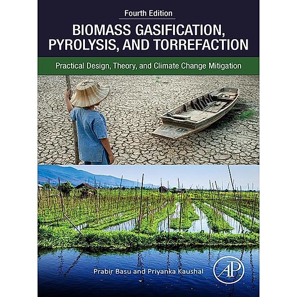 Biomass Gasification, Pyrolysis, and Torrefaction, Prabir Basu, Priyanka Kaushal