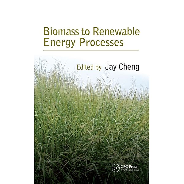 Biomass to Renewable Energy Processes