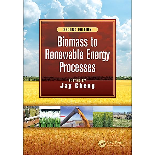 Biomass to Renewable Energy Processes