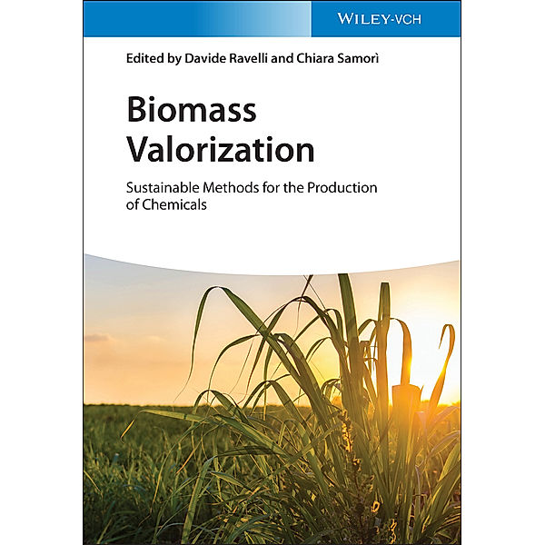 Biomass Valorization, Davide Ravelli