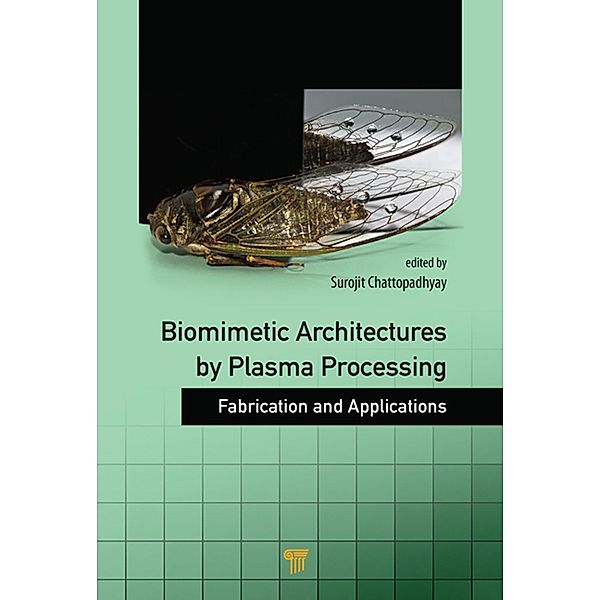 Biomimetic Architectures by Plasma Processing