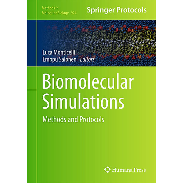 Biomolecular Simulations