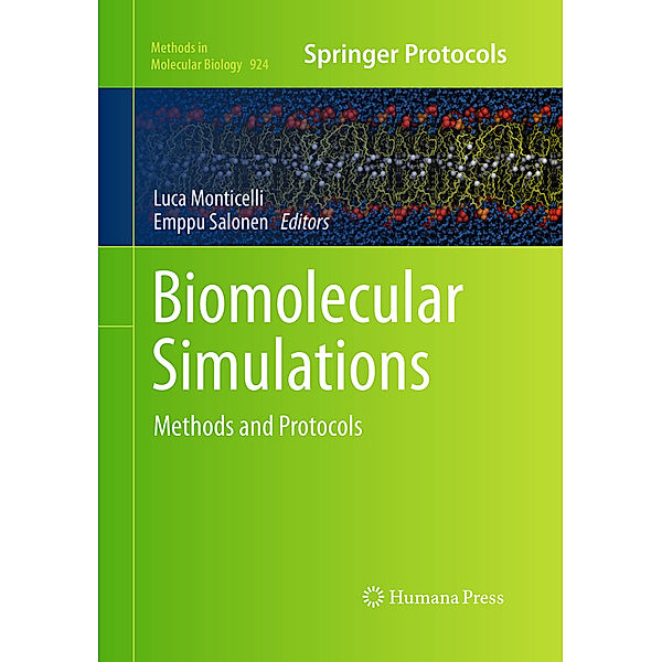 Biomolecular Simulations