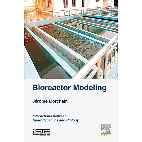 Bioreactor Modeling, Jerome Morchain