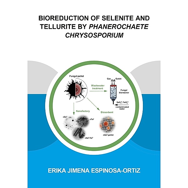 Bioreduction of Selenite and Tellurite by Phanerochaete Chrysosporium, Erika Jimena Espinosa-Ortiz