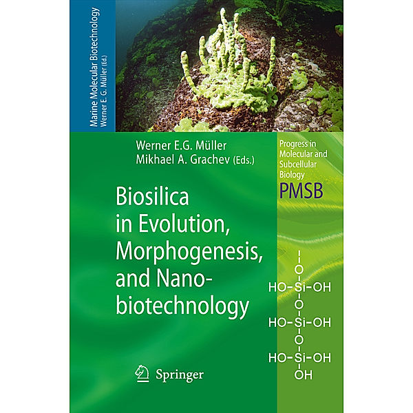 Biosilica in Evolution, Morphogenesis, and Nanobiotechnology