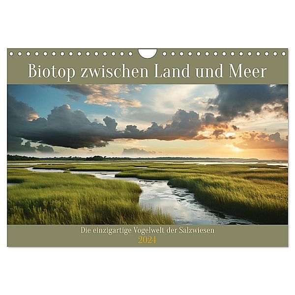 Biotop zwischen Land und Meer (Wandkalender 2024 DIN A4 quer), CALVENDO Monatskalender, Calvendo, Daniela Tapper