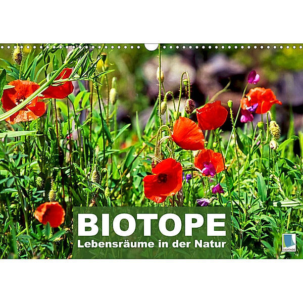 Biotope - Lebensräume in der Natur (Wandkalender 2023 DIN A3 quer), Calvendo