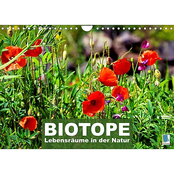 Biotope - Lebensräume in der Natur (Wandkalender 2023 DIN A4 quer), Calvendo