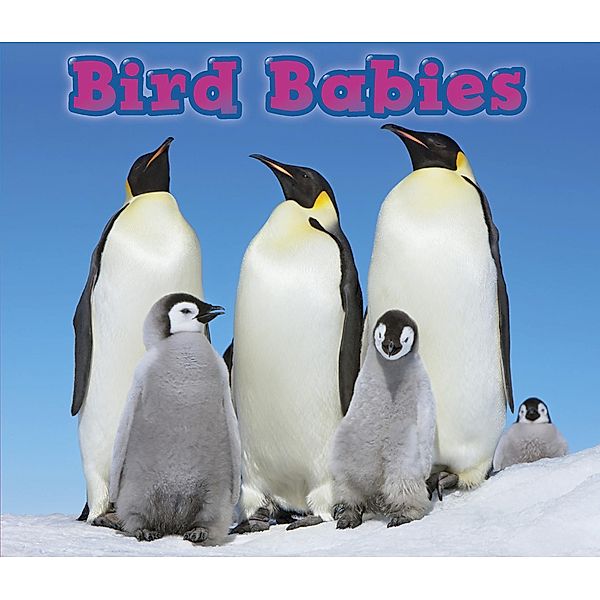 Bird Babies / Raintree Publishers, Catherine veitch