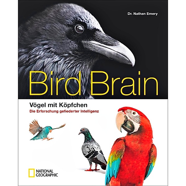 Bird Brain, Nathan Emery