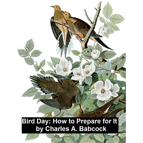 Bird Day: How to Prepare for It, Charles A. Babcock