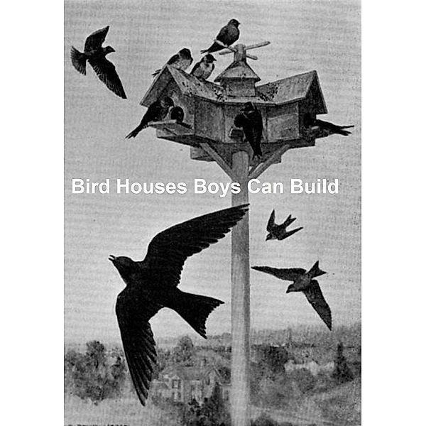 Bird Houses Boys Can Build, Albert Siepert