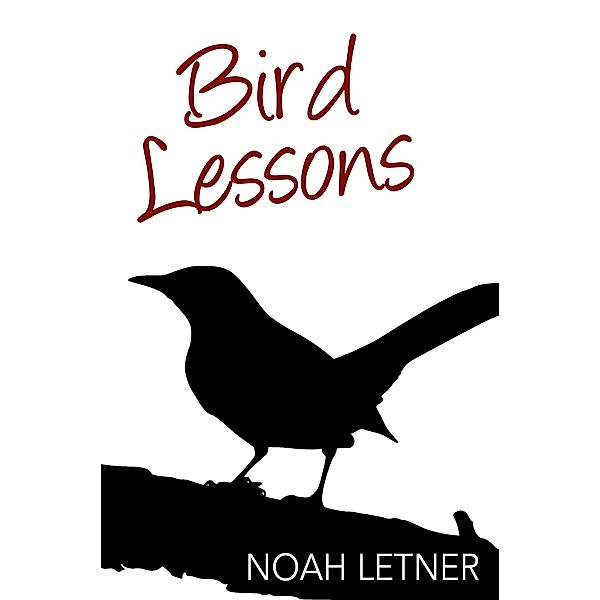 Bird Lessons / eBookIt.com, Noah Letner
