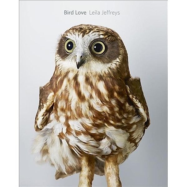 Bird Love, Leila Jeffreys