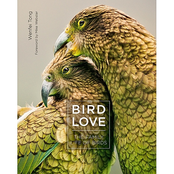 Bird Love, Wenfei Tong