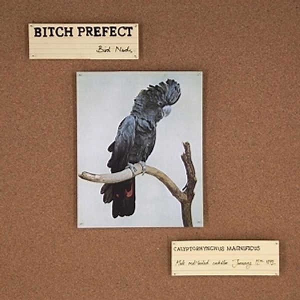 Bird Nerds (Vinyl), Bitch Prefect
