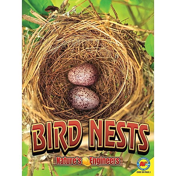 Bird Nests, Stacy Tornio