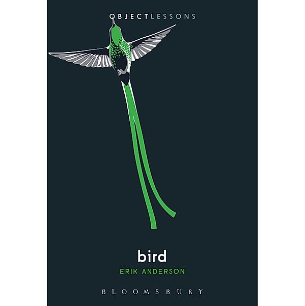 Bird / Object Lessons, Erik Anderson