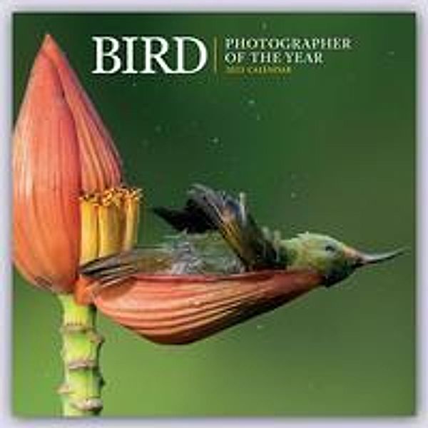 Bird - Photographer of the Year - Vögel - Fotografen des Jahres 2023, Carousel Calendar