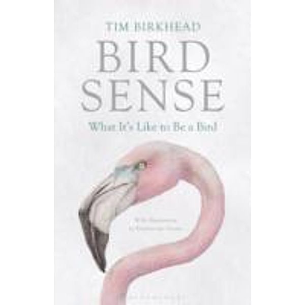 Bird Sense, Tim Birkhead