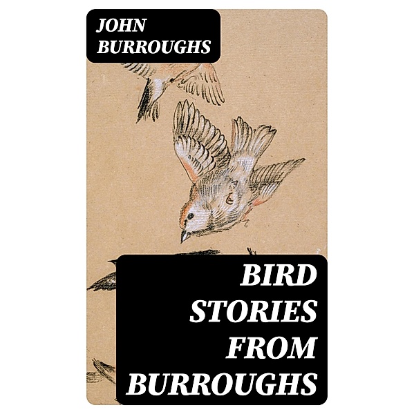 Bird Stories from Burroughs, John Burroughs