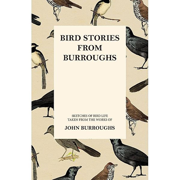 Bird Stories from Burroughs - Sketches of Bird Life Taken from the Works of John Burroughs, John Burroughs