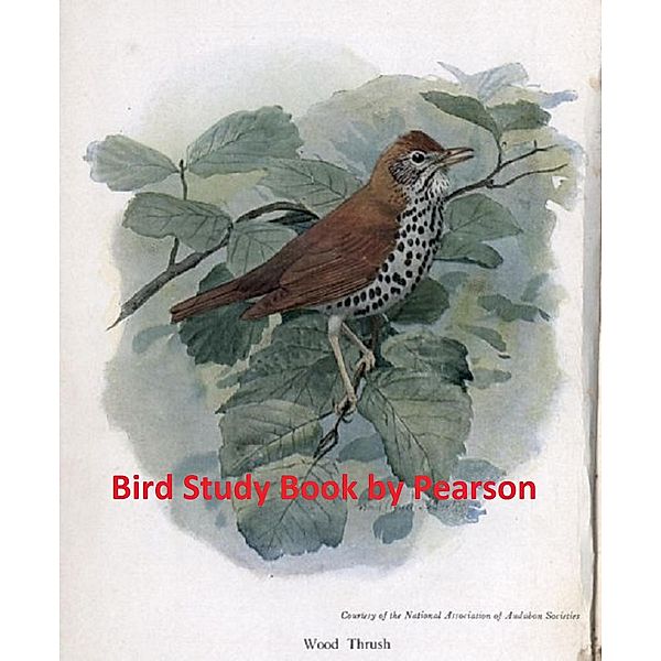 Bird Study Book, T. Gilbert Pearson