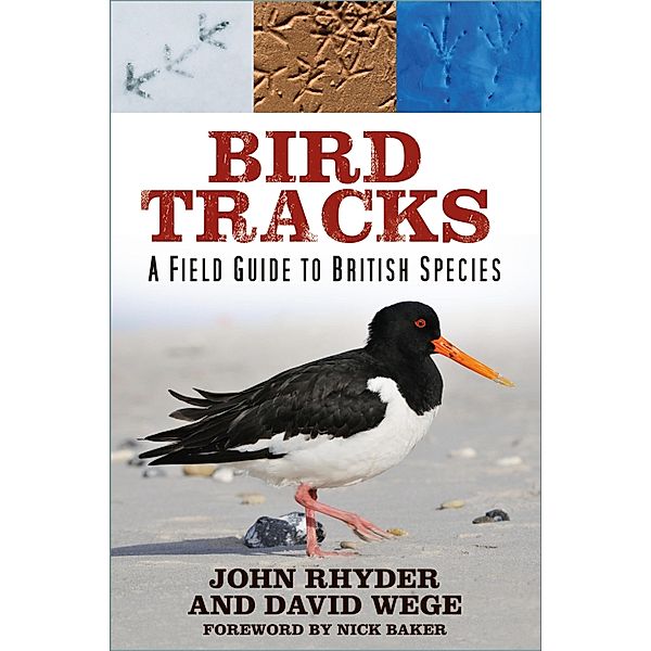 Bird Tracks, John Rhyder, David Wege